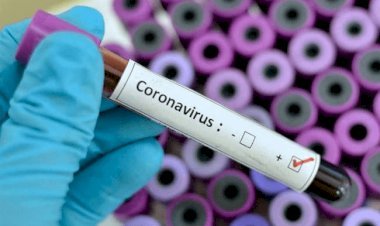 बिहार: 2803 नये कोरोना पेसेंट मिले, 11 की मौत, स्टेट में संक्रमितों की संख्या 36314 हुई