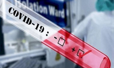 धनबाद: जिले में 17 नये कोरोना पेसेंट मिले, संक्रमितों की संख्या 532 पहुंची