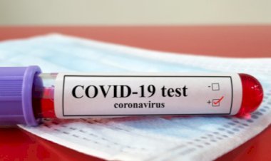 झारखंड में 11 अगस्त को 657 पॉजिटिव मिले, स्टेट में संक्रमितों की संख्या 19,521 हुई