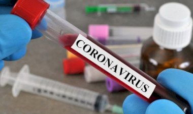 झारखंड में 22 सिंतबर को  1207 नये कोरोना पॉजिटिव मिले, 15 की मौत, स्टेट में संक्रमितों की संख्या 73948 पहुंची