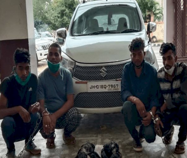 झारखंड: नारकोटिक्स कंट्रोल ब्यूरो ने 7.5 किलोग्राम अफीम के साथ पांच को अरेस्ट किया, जेल गये