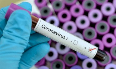 धनबाद में 19 अक्टूबर को 31 कोरोना पॉजिटिव मिले, जिले संक्रमितों की संख्या 5832 पहुंची