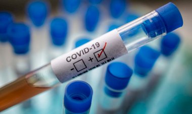 धनबाद में 22 अक्टूबर को 60 नये कोरोना पॉजिटिव मिले, जिले में संक्रमितों की संख्या 6014 पहुंची