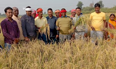 धनबाद: धान काटने के उतरे बाघमारा एमएलए ढुल्लू महतो 