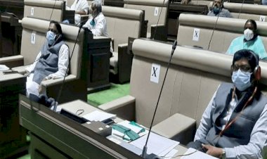 झारखंड विधानसभा में  सरना धर्मकोड का प्रस्ताव पारित, सेंट्रल को भेजी जायेगी अनुशंसा