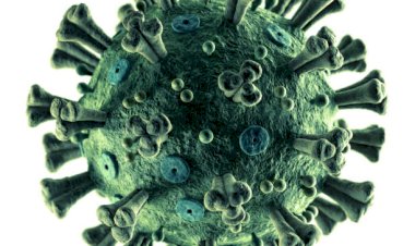 कोरोना वायरस के 28 लक्षण, ब्रिटेन के नेशनल इंस्टीट्यूट ऑफ क्लीनिकल एक्सिलेंस ने लिस्ट की जारी