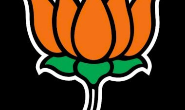 गुजरात: Local Body इलेक्शन में बीजेपी का परचम, 489 सीटें जीती, 55 पर सिमटी कांग्रेस, AAP, AIMIM और BSP की इंट्री