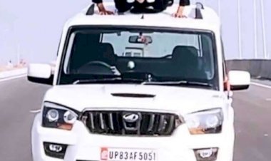 उत्तर प्रेदश: फीरोजाबाद में ने युवक ने चलती स्कॉर्पियो की छत पर चढ़कर किया पुश-अप, वीडियो वायरल, कटा चालान