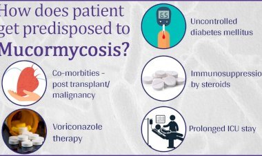 कैसे होता है ब्लैक फंगस म्यूकोरमाइकोसिस,कैसे इससे करें बचाव, हेल्थ मिनिस्टर हर्षवर्धन ने लोगों किया अलर्ट