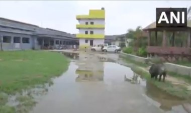 बिहार: DMCH यानी 'डरावना मेडिकल कॉलेज हॉस्पीटल' यह है सुशासन की हेल्थ सिस्टम