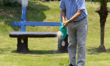 धनबाद: टाटा स्टील झरिया डिवीजन ने मनाया विश्व पर्यावरण दिवस,सर दोराबजी टाटा पार्क, जामाडोबा में पौधारोपण