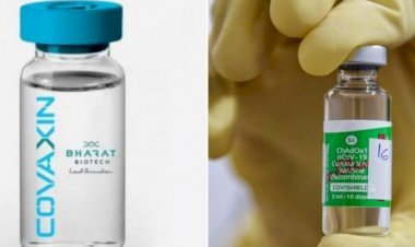 कोवैक्सीन के मुकाबले कोवीशील्ड शरीर में बनाती है अधिक एंटीबॉडीज