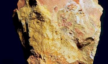 झारखंड: बोकारो में बरामद खनिज पदार्थ यूरेनियम नहीं, जांच में हुई पुष्टि