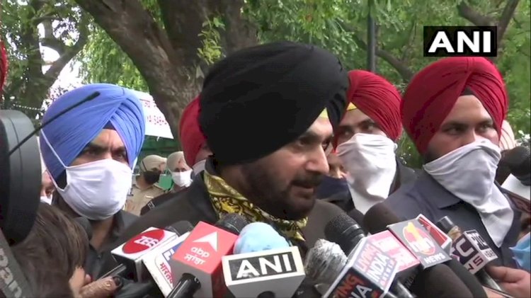 पंजाब कांग्रेस में विवाद पर नवजोत सिंह सिद्धू दिल्ली में सेंट्रल कमेटी के समक्ष हुए पेश, कहा- विरोधी ताकतों को हराना और सच को जिताना है