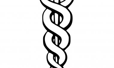झारखंड: डॉ. ज्‍योति रंजन SNMMCH व डॉ. शैलेंद्र कुमार मेदिनीराय मेडिकल कॉलेज के प्रिंसिपल बनाये गये