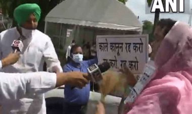 नई दिल्ली: कृषि कानूनों के मुद्दे पर संसद भवन के बाहर भिड़े हरसिमरत कौर व रवनीत बिट्टू