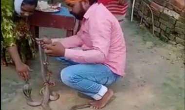 सारण: बहन से नाग को राखी बंधवा रहा था भाई, नागिन ने डंस लिया, मौत