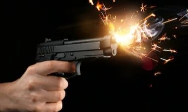 सीतामढ़ी: छठियारी सेलिब्रेशन में ताबड़तोड़ हवाई फायरिंग, छह अरेस्ट, नौ लोगों पर FIR