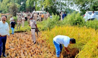 झारखंड: साहिबगंज डीसी ने खेत में की धनकटनी, बोले-किसान का बेटा हूं, किसानों को किया धान अधिप्राप्ति के लिए प्रेरित 