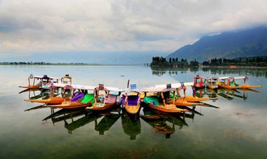 जम्मू-कश्मीर: आर्मी ने नौ एनकाउंटर में 13 आतंकी मारे, छह दिन से चल रहे एनकाउंटर में अब तक नौ सैनिक शहीद