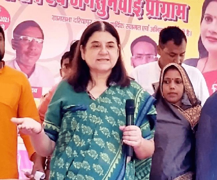 उत्तर प्रदेश: बीजेपी राष्ट्रीय कार्यकारिणी में नाम कटने पर बोलीं मेनका गांधी- इससे मेरा कद नहीं कम हो जाता