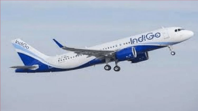 दिल्ली से Indigo की फ्लाइट से जाना था पटना, पैसेंजर पहुंच गये उदयपुर, DGCA ने दिये जांच के आदेश