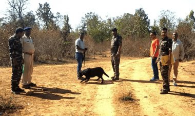 झारखंड: लातेहार में महिला की पीट-पीटकर मर्डर, बॉडी को जलाया