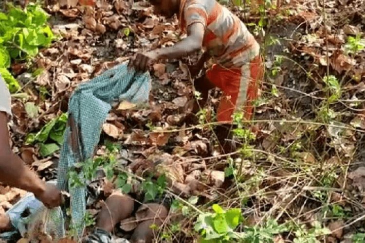  गिरिडीह: गावां मुड़गडवा जंगल में इलिगल माइका माइंस धंसने से दो की मौत