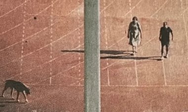 दिल्ली के त्यागराज स्टेडियम में कुत्ता टहलाना IAS दंपती को पड़ा महंगा, लद्दाख व अरुणाचल प्रदेश हुआ ट्रांसफर