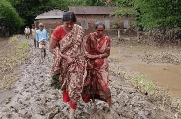 असम: कीचड़ में घुसकर कछार बाढ़ प्रभावित लोगों तक पहुंच रही महिला IAS अफसर