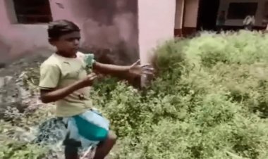 गोड्डा: स्टूडेंट रिपोर्टर के वीडियो पर दो स्कूली टीचर किये गये डिसमिस, सुधरी स्कूल की हालत