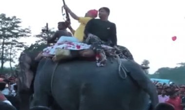 बिहार: बीजेपी MLA विनय बिहारी का हाथी पर चढ़ फायरिंग का Video वायरल, FIR दर्ज, राइफल जब्त