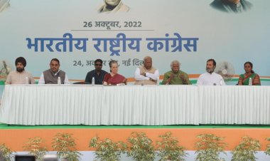 Congress New President : मल्लिकार्जुन खड़गे ने संभाला कांग्रेस प्रसिडेंट का पोस्ट, स्टीयरिंग कमेटी गठित