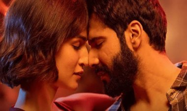 Bhediya Box Office Collection: 'भेड़िया' ने दो दिन में कमाये 17.48 करोड़