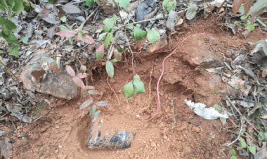 झारखंड: सर्च ऑपरेशन के दौरान IED विस्फोट, एक कोबरा का एक जवान घायल, हेलीकॉप्टर से भेजा गया रांची