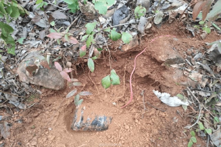 झारखंड: सर्च ऑपरेशन के दौरान IED विस्फोट, एक कोबरा का एक जवान घायल, हेलीकॉप्टर से भेजा गया रांची