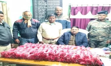 झारखंड: पाकुड़ में 1900 पीस डिटोनेटर जब्त, पश्चिम बंगाल का युवक अरेस्ट