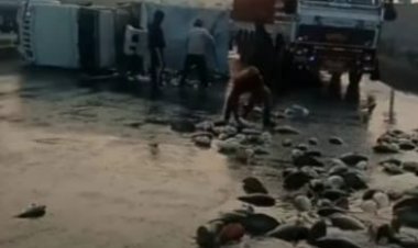 Giridih: डुमरी पुलिस स्टेशन से  मछली गायब करने के मामले में ऑफिस इंचार्ज सस्पेंड, पुलिस ड्राइवर भी नपे