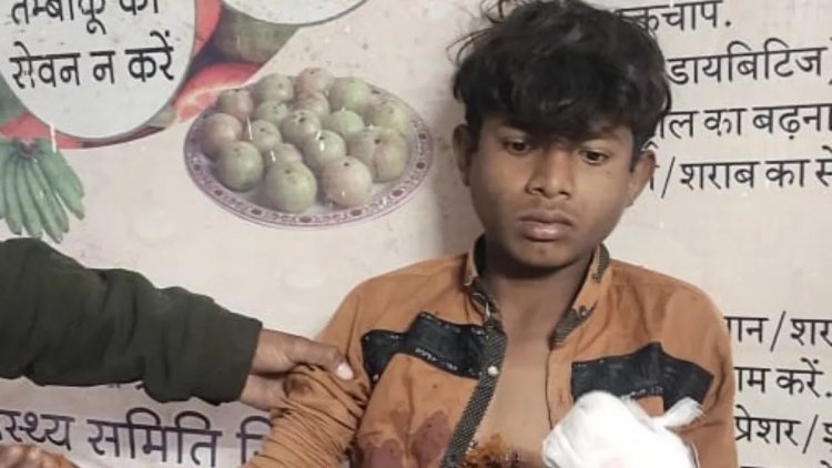 Madhya Pradesh: मवेशी चरा रहे बालक के हाथ में मोबाइल ब्लास्ट, छाती में गंभीर चोट