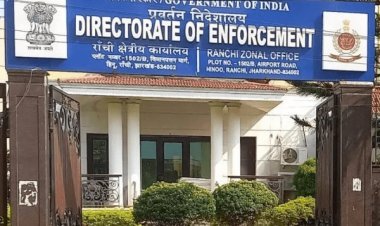 Ranchi land scam case : दीमकों ने खोला जमीन घोटाले में फर्जीवाड़े का राज, फोरेंसिक जांच में भी पुष्टि