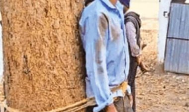 Jamshedpur: शादीशुदा प्रेमिका से मिलने पहुंचे प्रेमी को पेड़ से बांधकर पीटा, हसबैंड के नींद खुलने से रंगेहाथ पकड़ाये