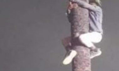 Jharkhand : खेसारी लाल के स्टेज शो में हंगामा, भीड़ से भोजपुरी स्टार पर चली गुलेल, डांसर जख्मी