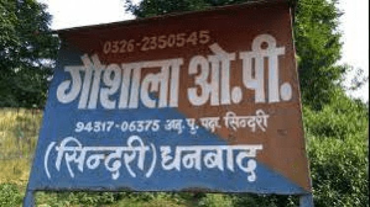 Dhanbad: गौशाला ओपी प्रभारी प्रतिदिन करा रहे 1500 टन Illegal Coal Mining पुलिस हेडक्वार्टर में की गयी कंपलेन