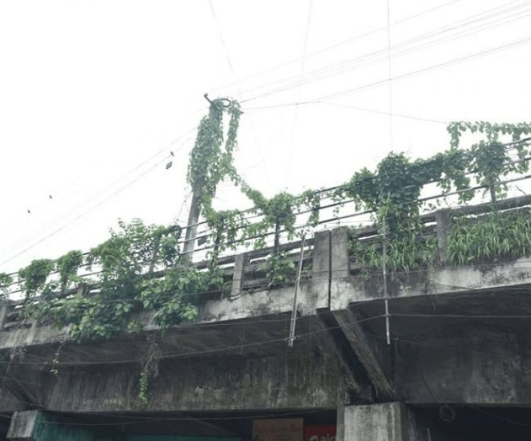 Dhanbad : बैंकमोड़ रेलवे ओवर ब्रीज का बांया लेन 13 मई से बंद रहेगा, मरम्मति के कारण ट्रैफिक रूट में बदलाव