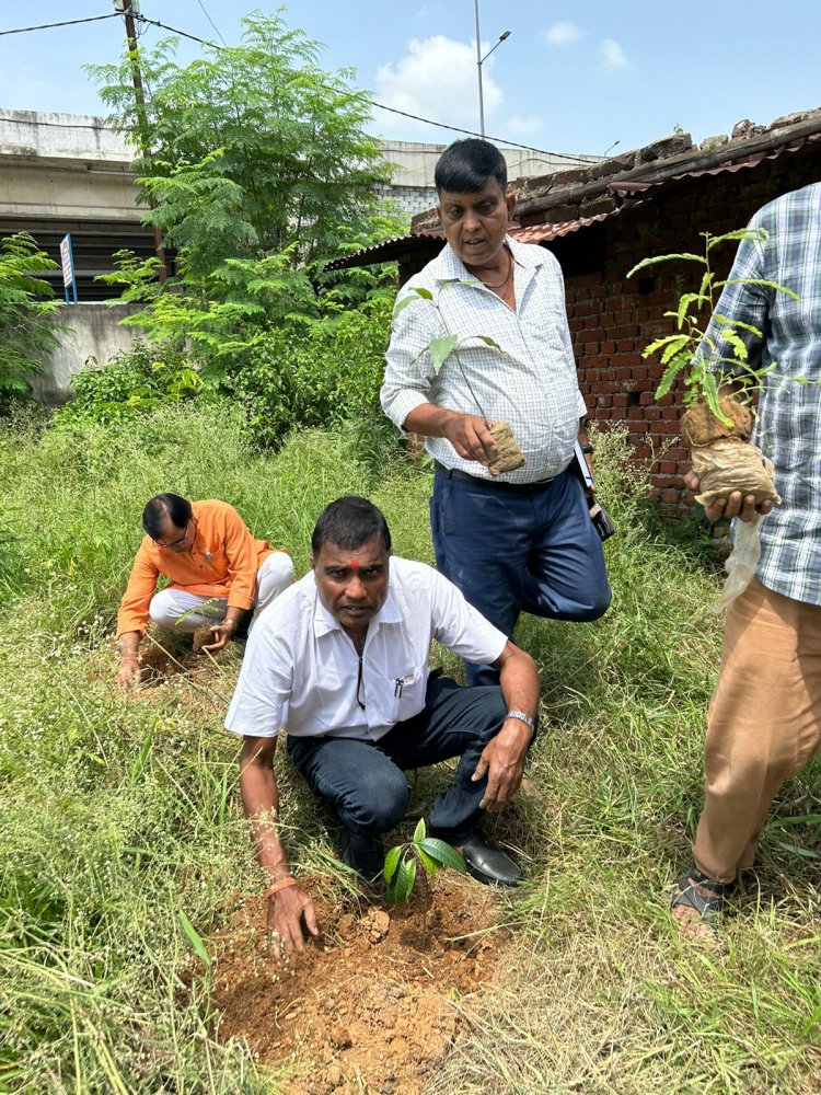 Dhanbad :आरोग्य भारती का पर्यावरण सप्ताह, कुमार बीएड कॉलेज कैंपस में वृक्षारोपण 