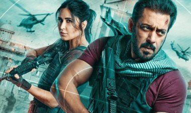 Tiger 3 Worldwide Collection: टाइगर 3 ने 10 दिनों में की छप्परफाड़ कमाई, 400 करोड़ का आंकड़ा किया पार 