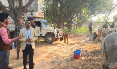Jharkhand: गिरिडीह में गोवंश लदे 11 पिकअप वैन जब्त, पांच ड्राइवर को पुलिस ने किया अरेस्ट