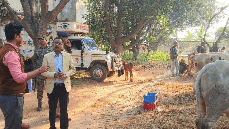 Jharkhand: गिरिडीह में गोवंश लदे 11 पिकअप वैन जब्त, पांच ड्राइवर को पुलिस ने किया अरेस्ट