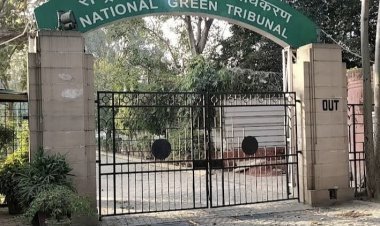 Jharkhand: NGT ने CCL पर लगाया एक करोड़ फाइन,ओवर बर्डन डालकर पर्यावरण को नुकसान पहुंचाया