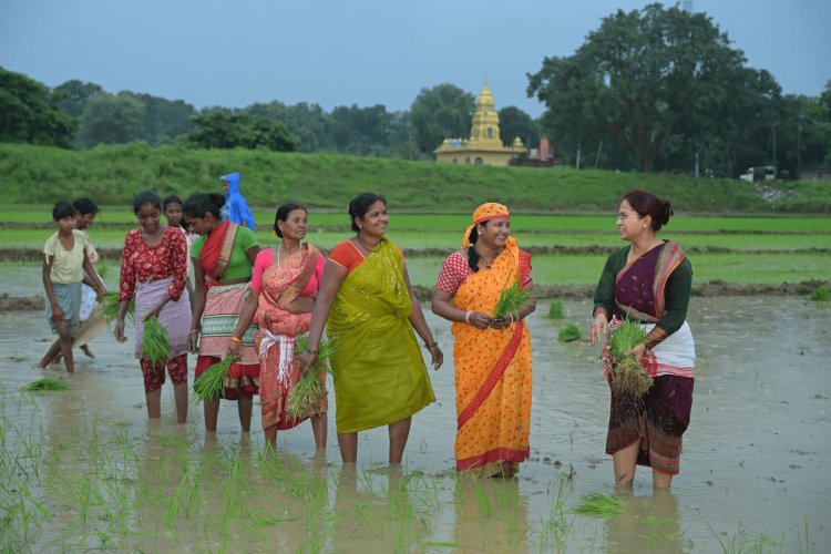 Jharkhand : खेत में धान रोपनी करने उतरीं कृषि मंत्री शिल्पी नेहा तिर्की, महिलाओं ने गीतों से किया स्वागत